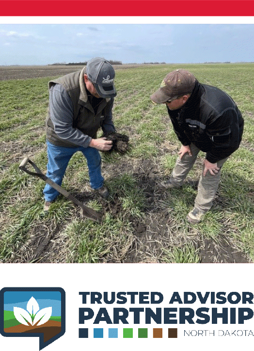 Trusted Advisor Partnership