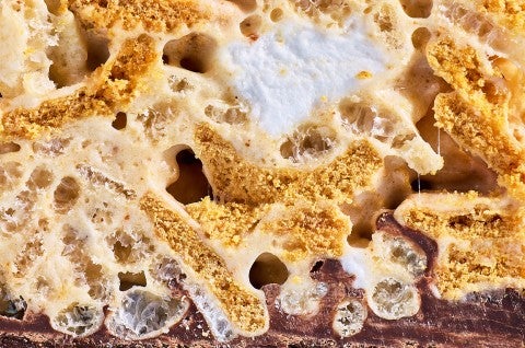Close-up of S’more Rice Krispies Treats  - select to zoom